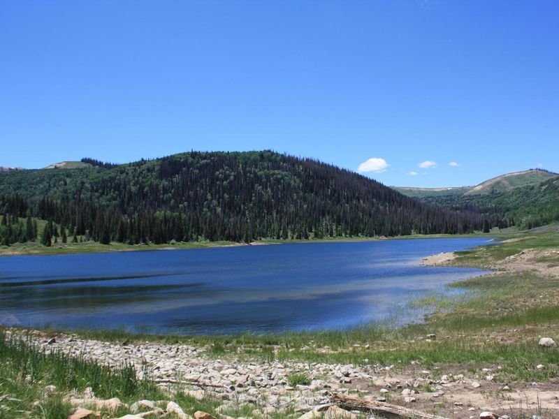 Lake Canyon Campground