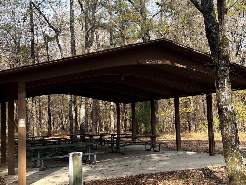 Waverly Day Use is a quiet picnic area in the woods where families can enjoy a sunny day.