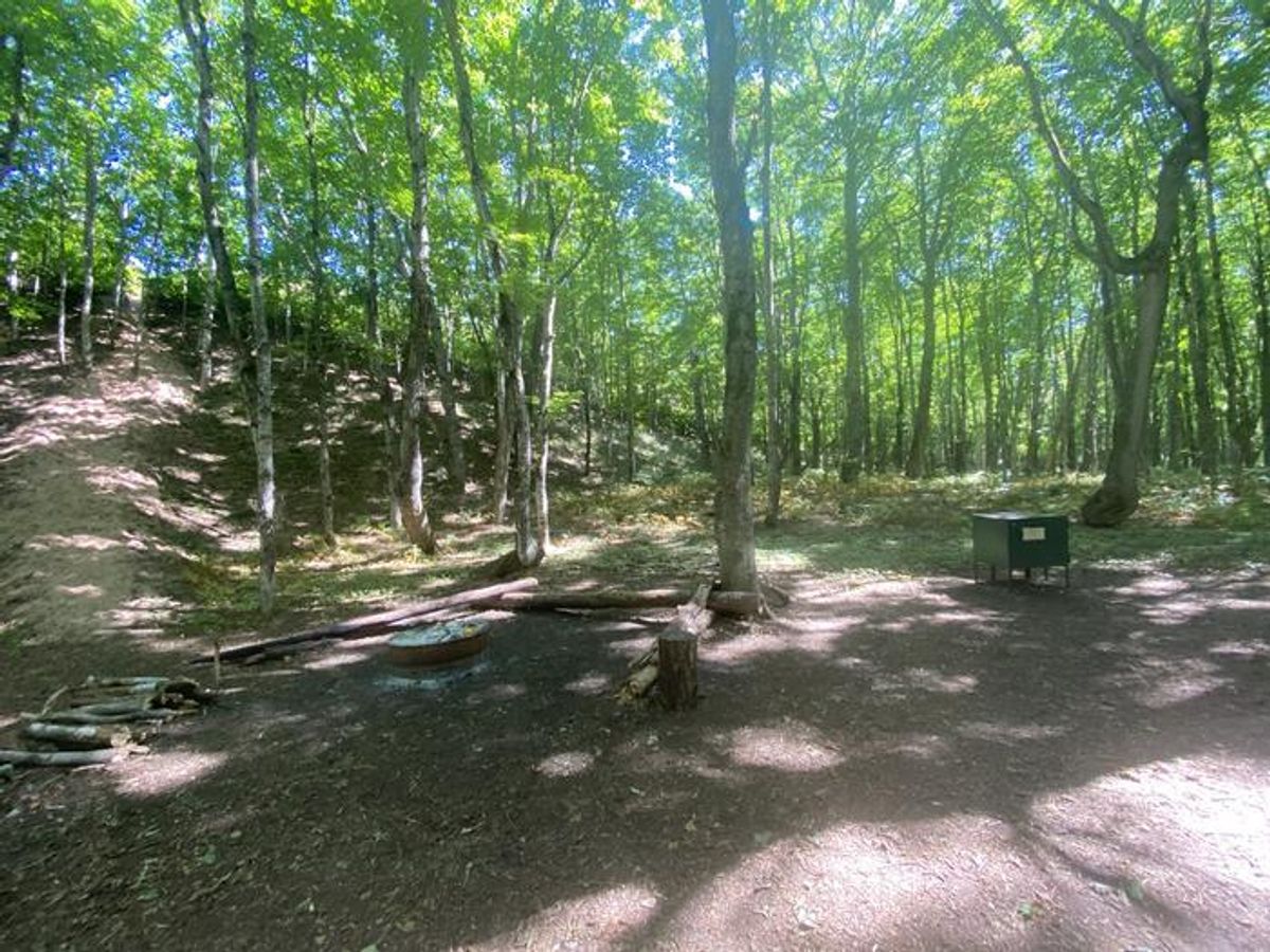 Masse Homestead Group Backpacking Site