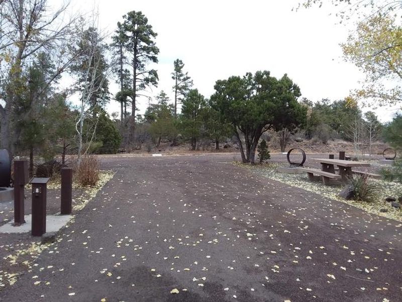 Potato Patch Campground