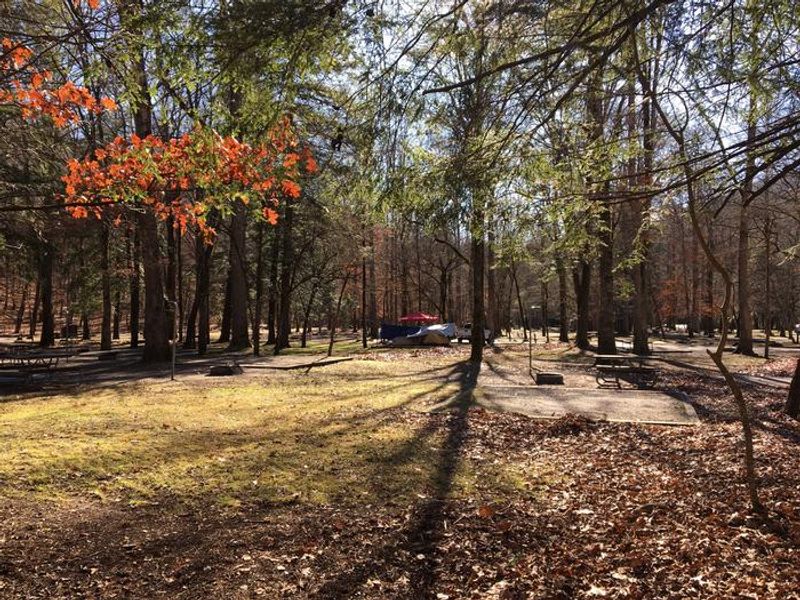 Standard campsite in the C Loop of Smokemont Campground 