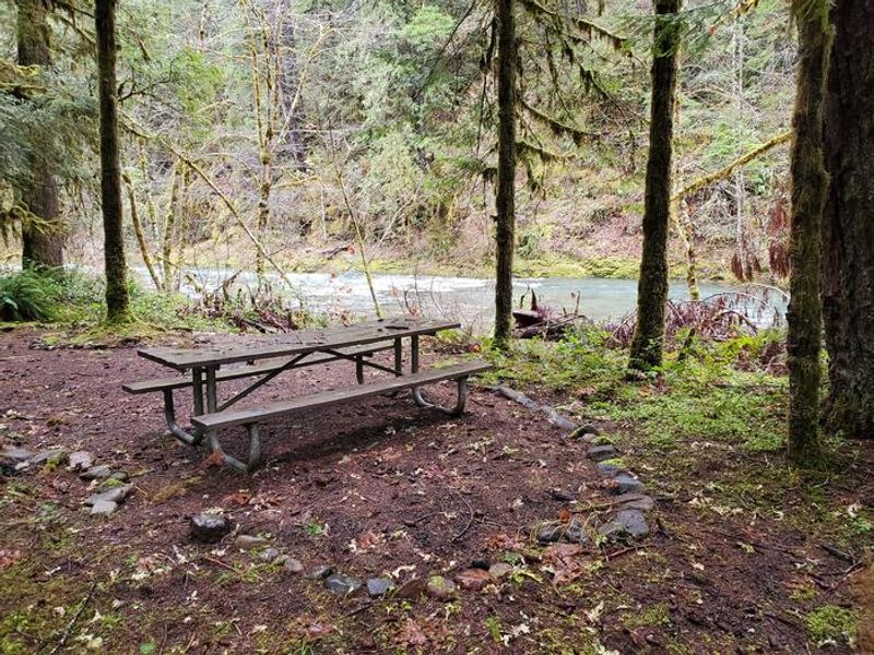picnic area near a swimming hole