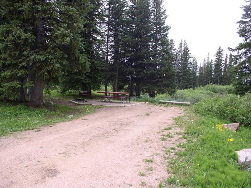 Bald Mountain Site 2