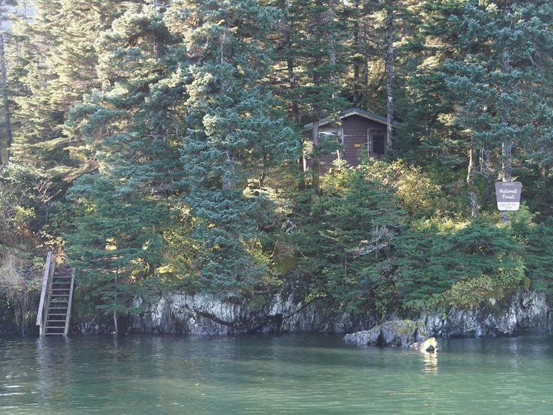 Cabin at High Tide