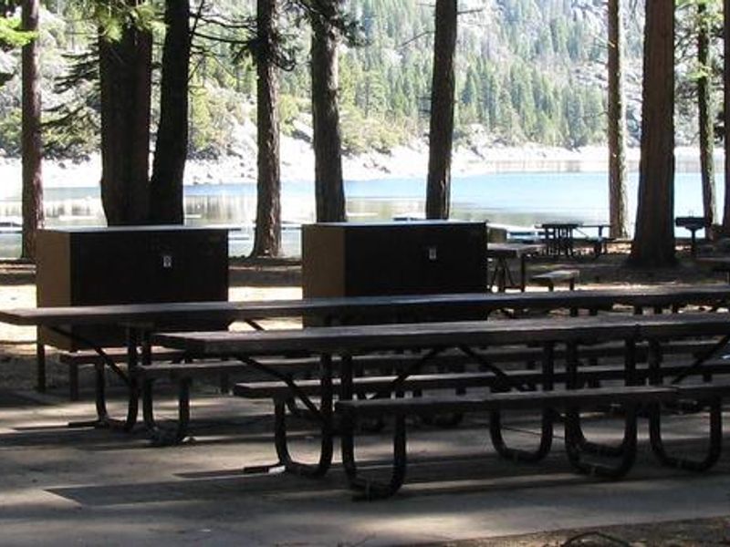 Pinecrest "Fir" Group Picnic Site