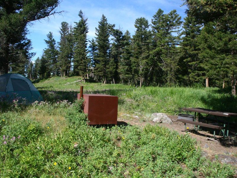 Slough Creek Campground Site #14