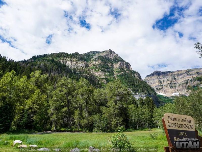 Theater In The Pines