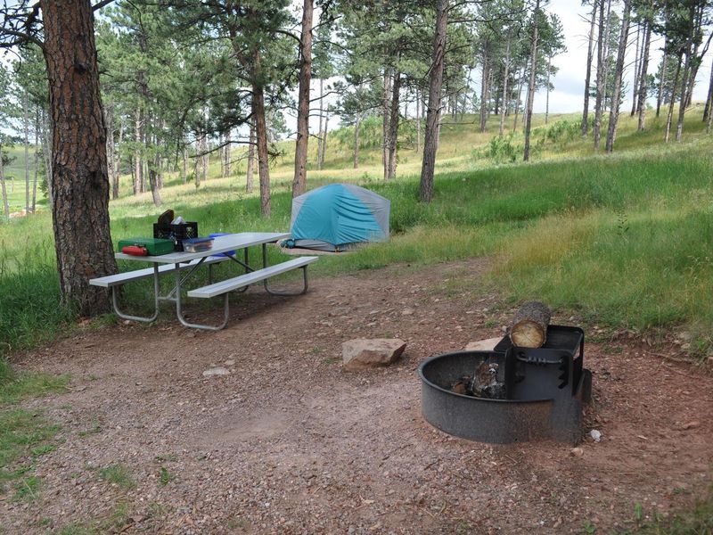 Each campsite comes with a picnic bench and a fire ring.