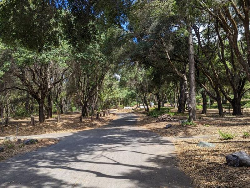 Roads in Kyen Campground