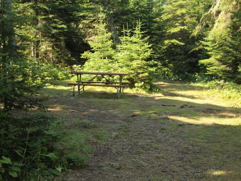 There are 3 group sites for parties of 7-10 people camping and traveling together.