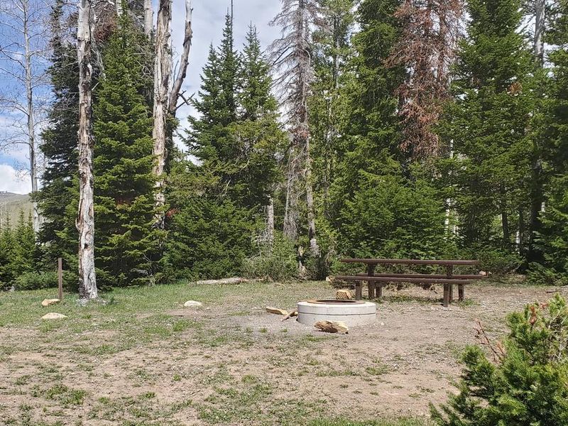 Miller Flat Reservoir Campground