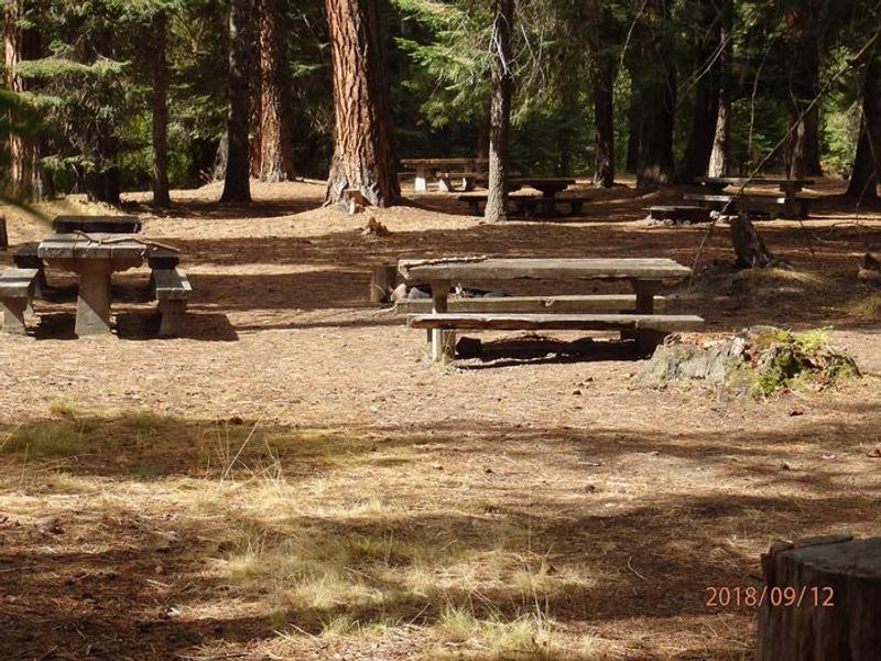 Nice group site with access to the Little Naches River