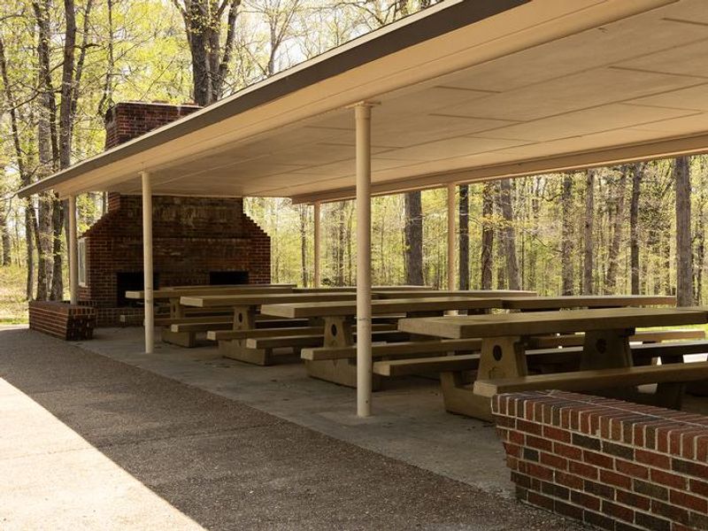 Open Picnic Shelter in the Picnic Area