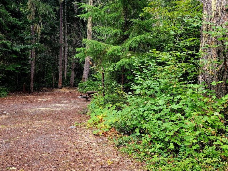 Black Pine Horse Camp - Site 7
