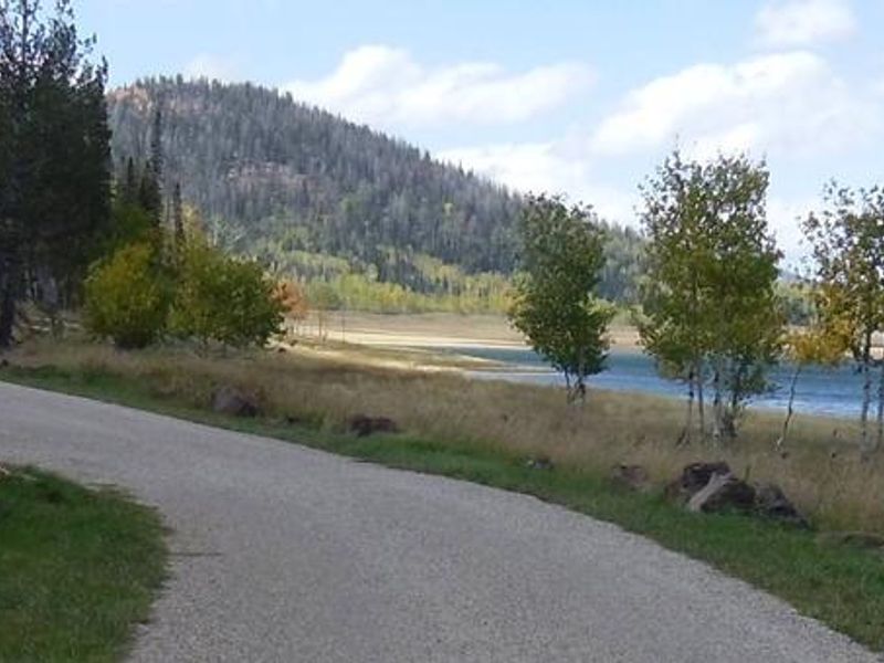 Campsites overlooking the lake