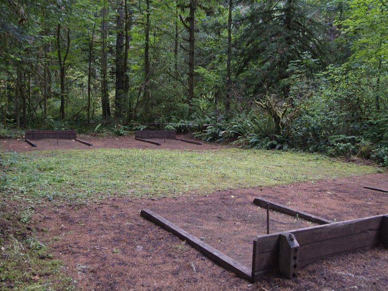 Shotgun has horseshoe pits next to shelters 1 and 2. 