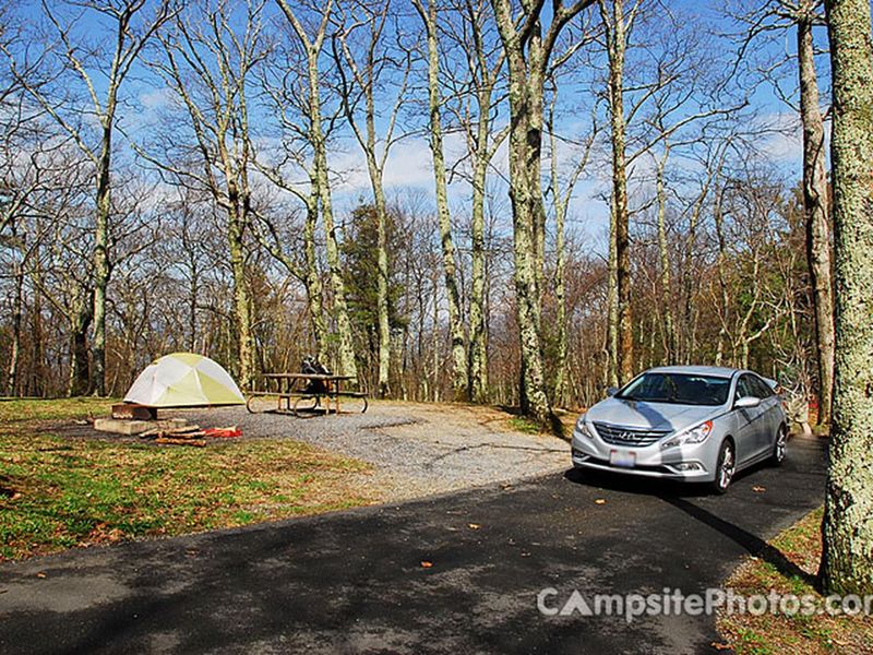 Lewis Mountain Campsite #11