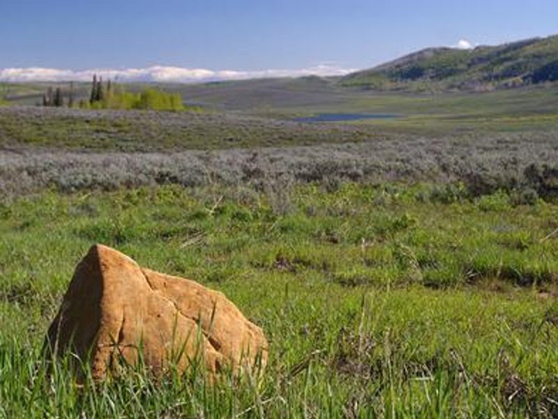 Gooseberry Group Campground