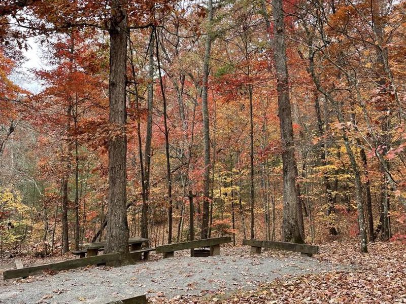 Lake Powhatan in the fall