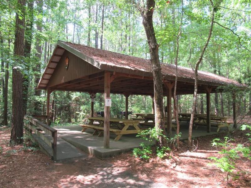 Congaree Picnic Shelter
