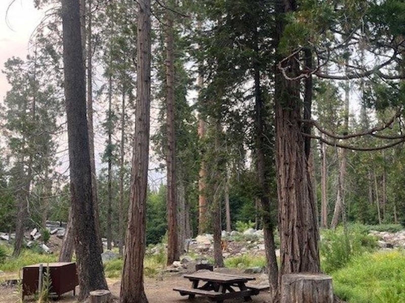 Ten Mile Campground - Site #9