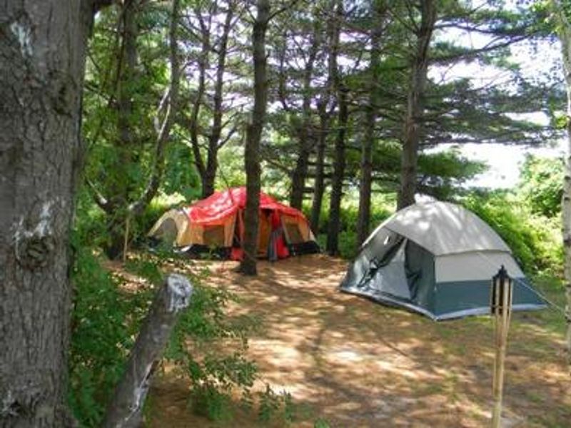 Beautiful, spacious campsite