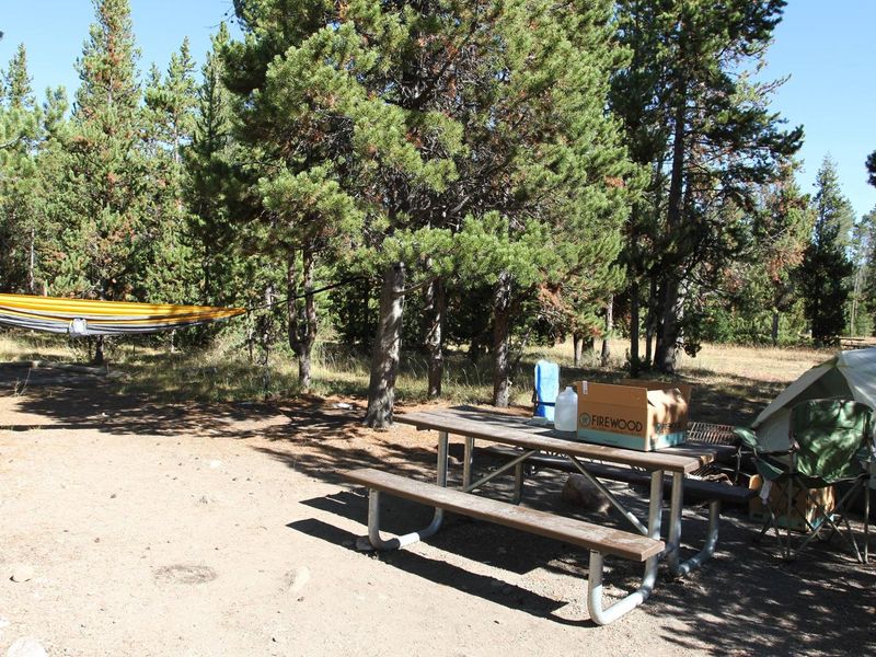 Indian Creek Campground site #61