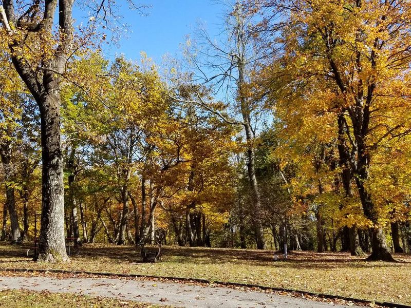 Loop T accommodates RVs.