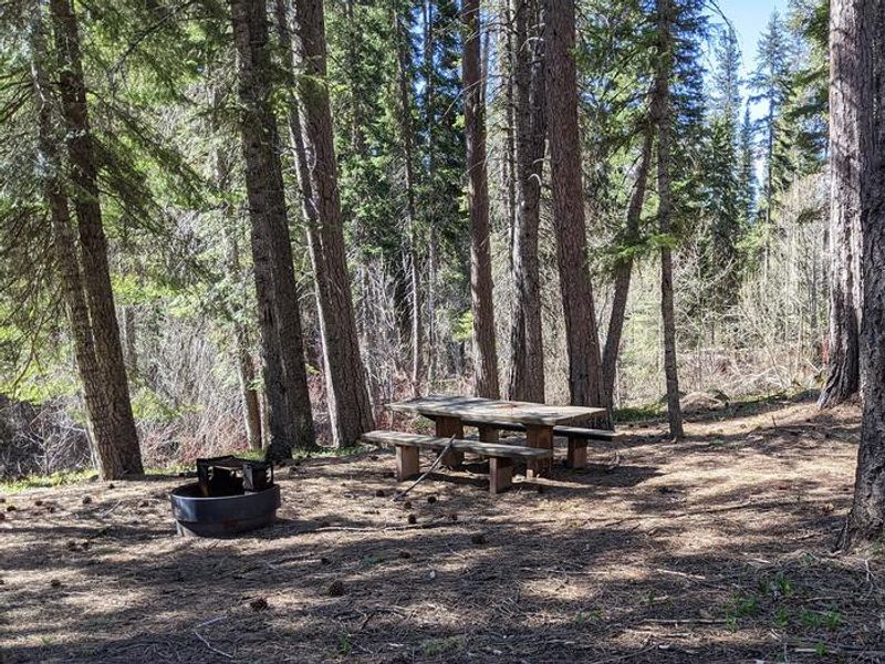 Last Chance Campground campsite