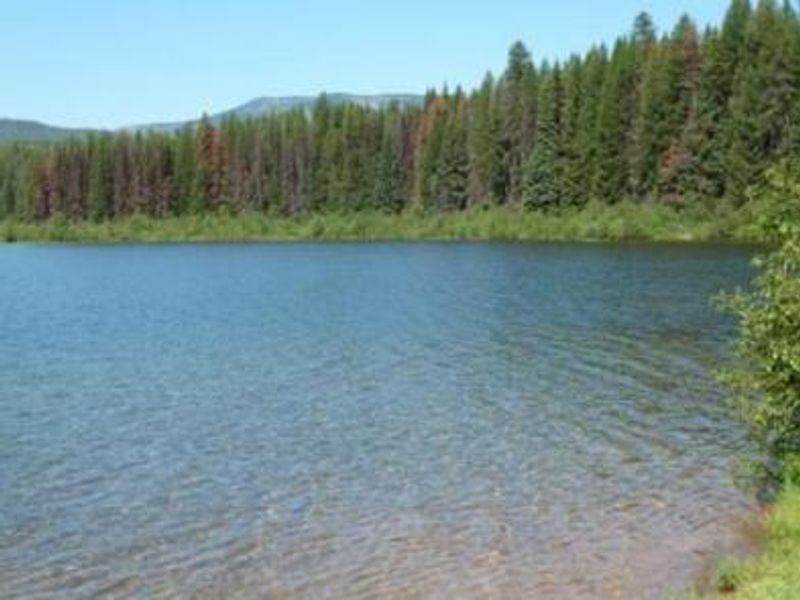 View of Lake Inez looking North. 