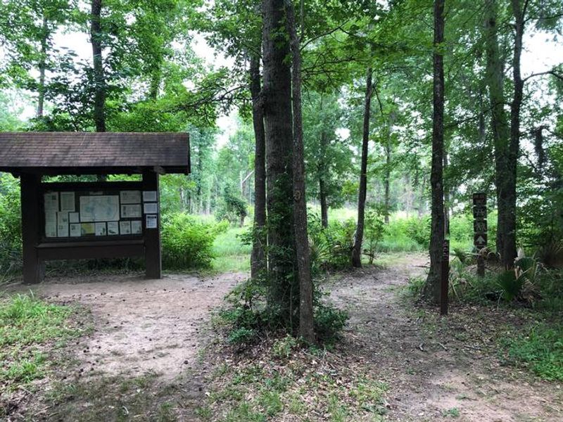 Neat trail by the water