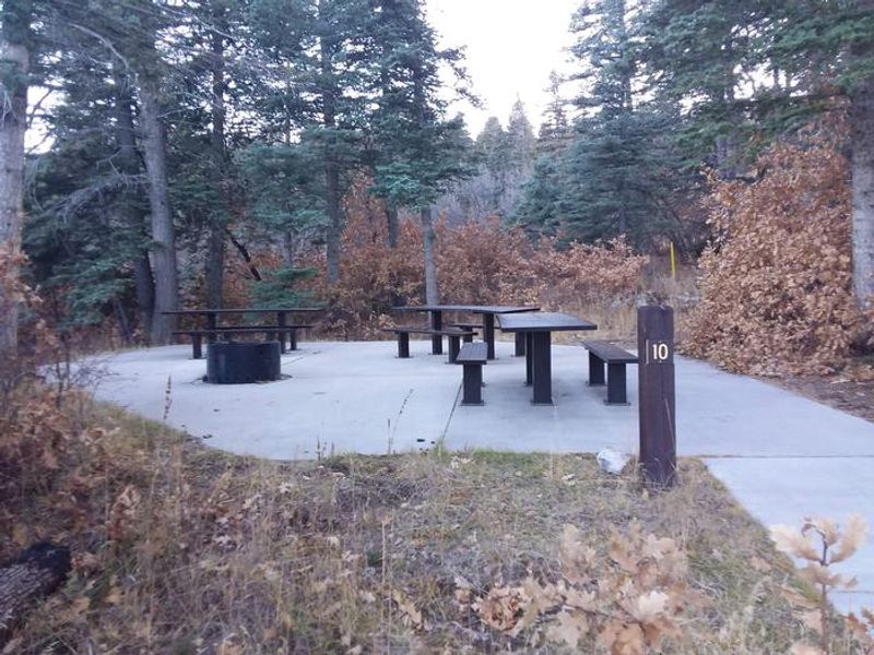 Capulin Spring Picnic Site Group Area