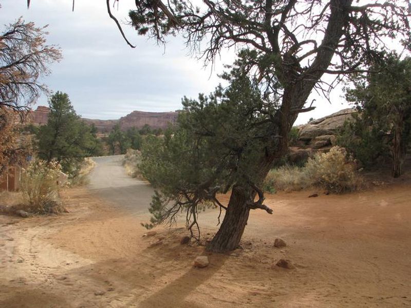 Looking back out the driveway leading to the wooden shoe group site.