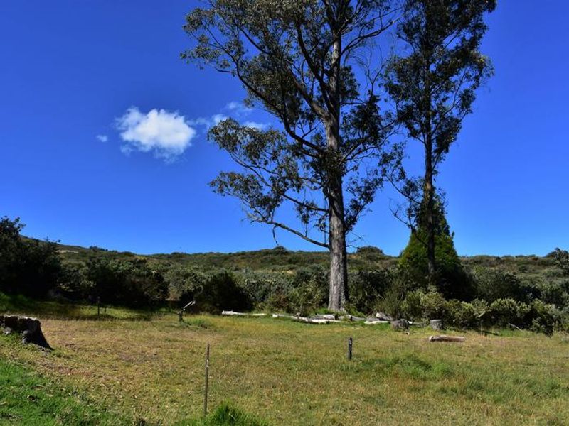 Beautiful views of the slopes of Haleakala