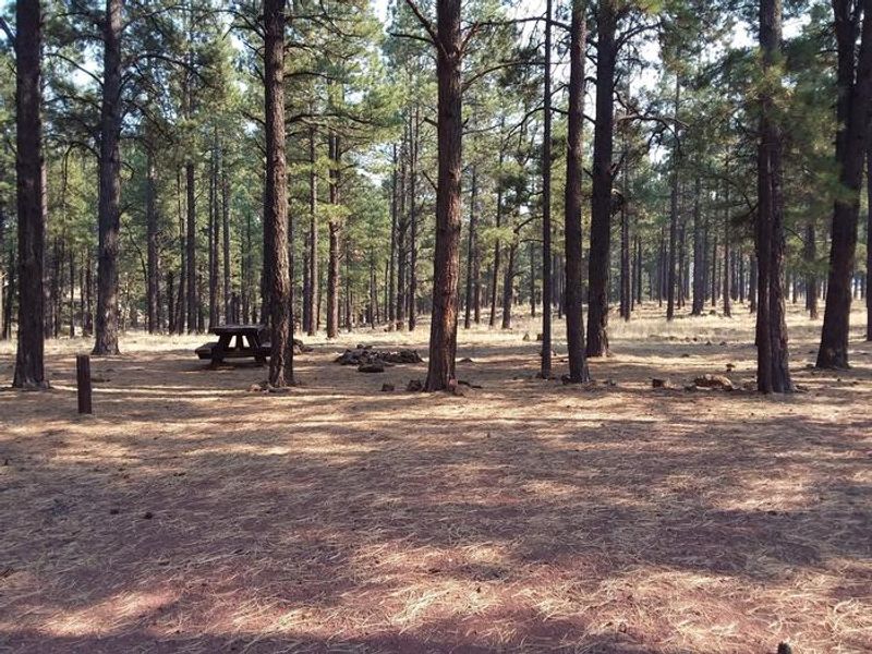 Benny Creek Group Site