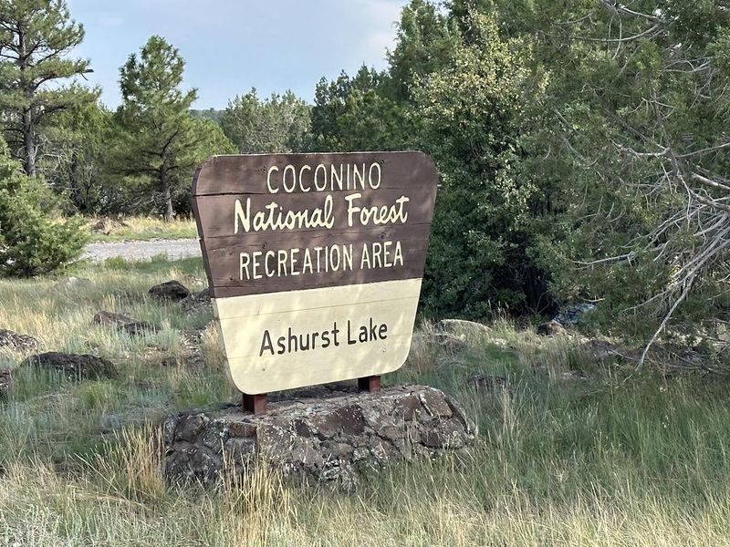 Ashurst Lake sign 2023