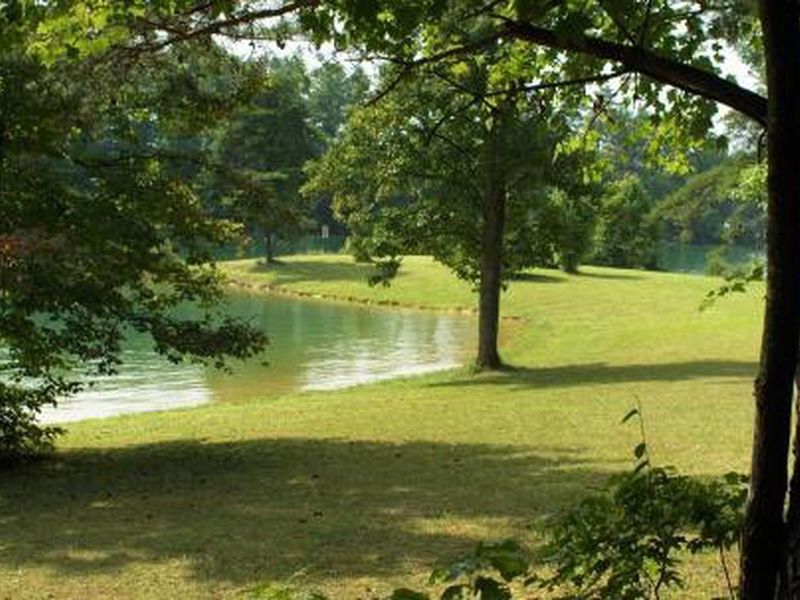 Little Oak Recreation Area Beach