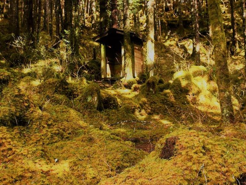 Outhouse Behind Lake Cabin