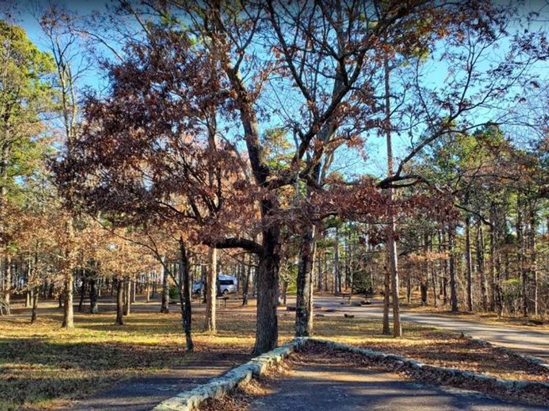 View of campground area.
