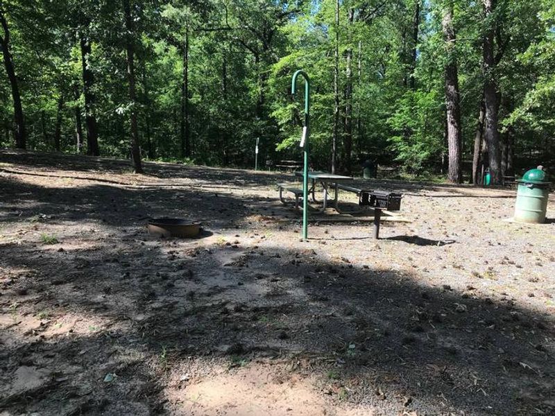 Campsite #7. Tent site with the following amenities: fire-pit, grill, picnic table, lantern pole, trash can.