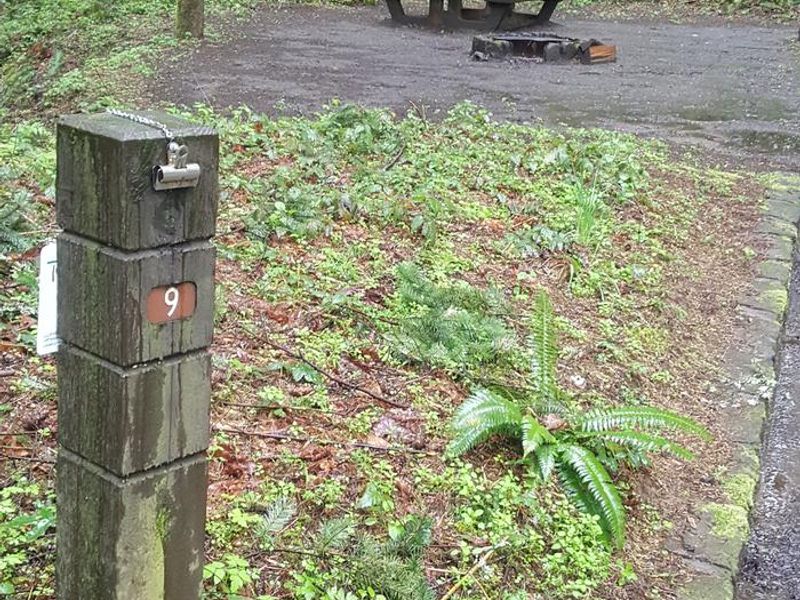 Wyeth campground Site #9