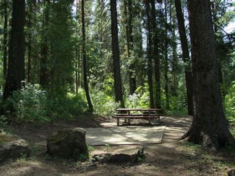 Evergreen Campsite