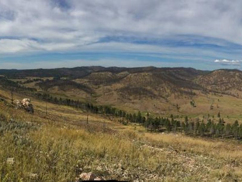 Wildcat Classic Trail