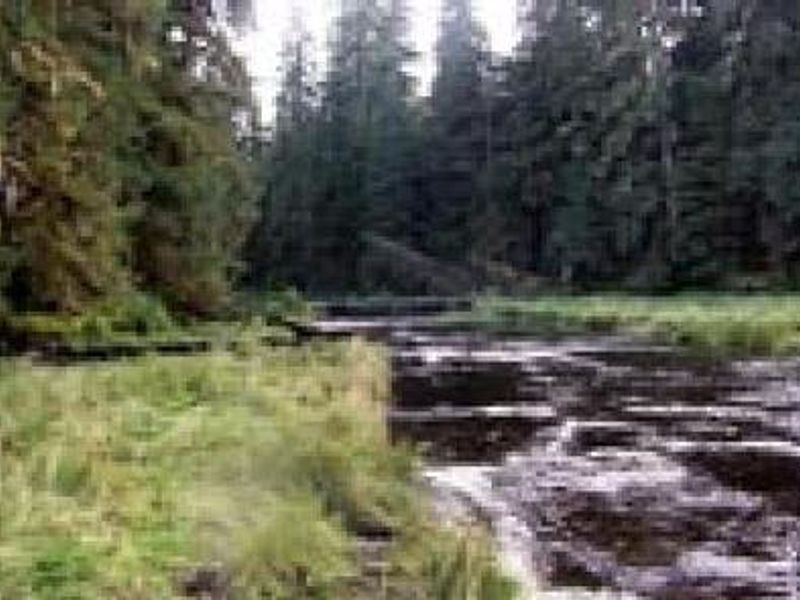 Sweet Water Lake Cabin