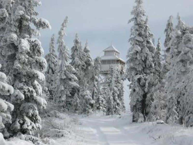 WARNER MOUNTAIN LOOKOUT
