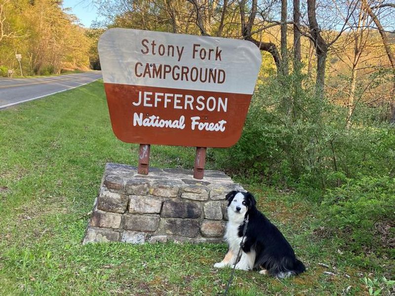 Welcome to Stony Fork!