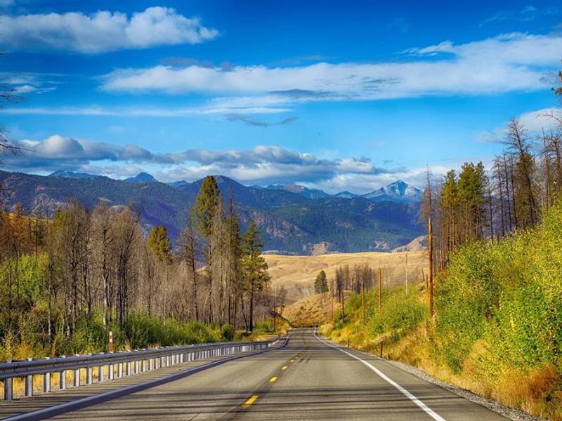 Okanogan-Wenatchee National Forest