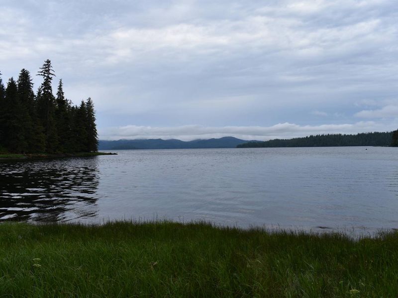 Thorne Arm from Cabin