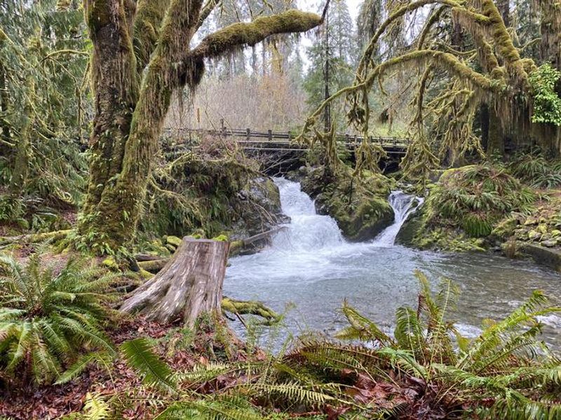 A photo of facility FALLS CREEK CAMPGROUND with Waterfront