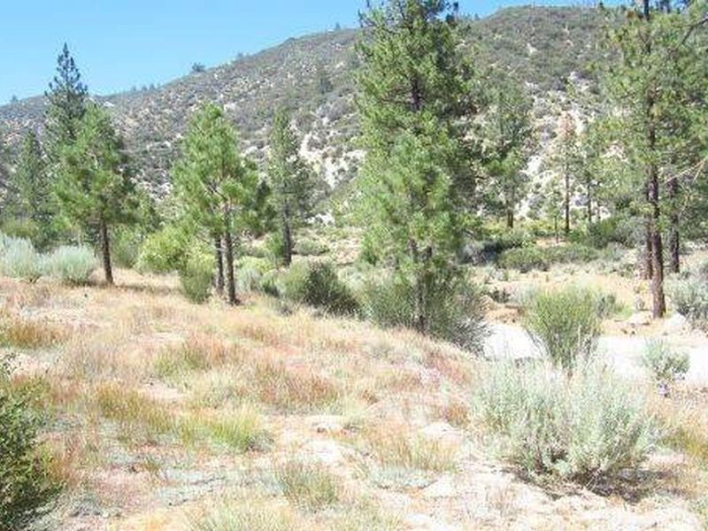 View from Site 2 Looking North.